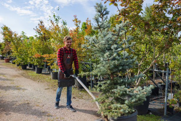 Best Tree Trimming and Pruning  in Sanibel, FL